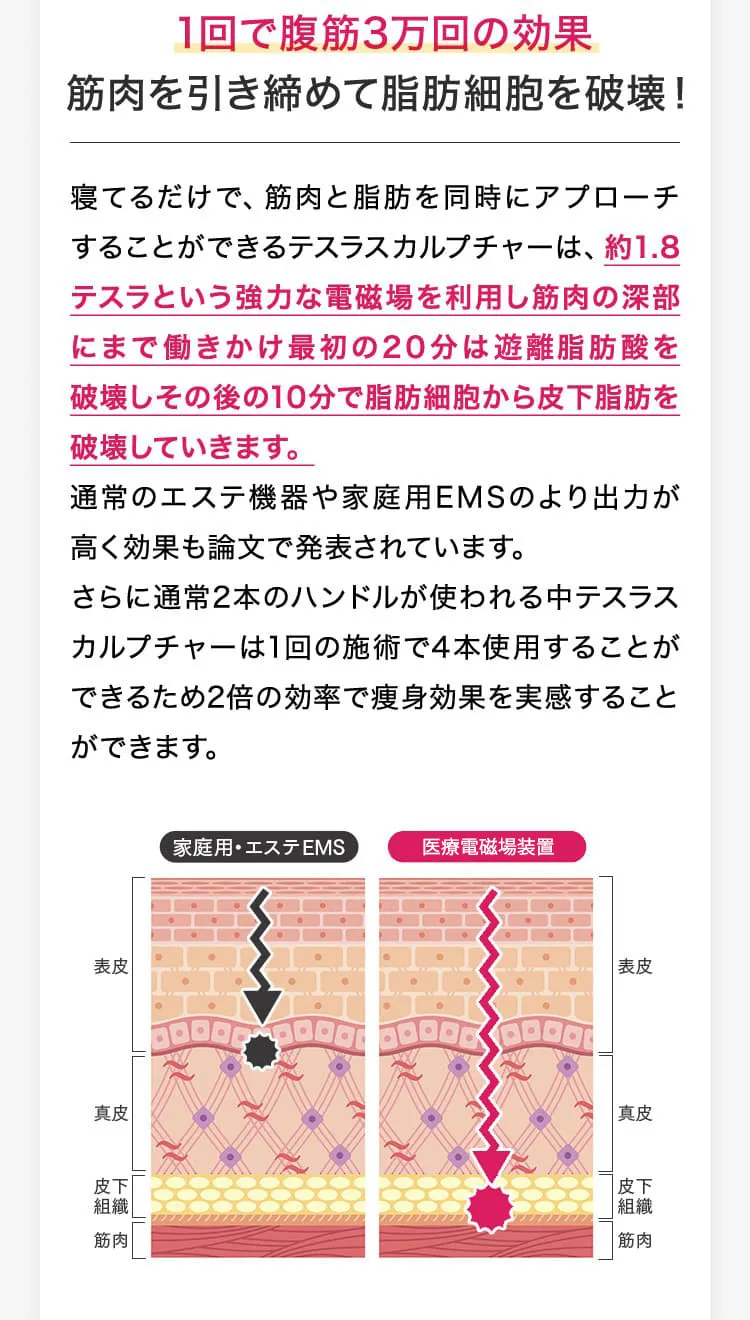 1回で腹筋3万回の効果／筋肉を引き締めて脂肪細胞を破壊