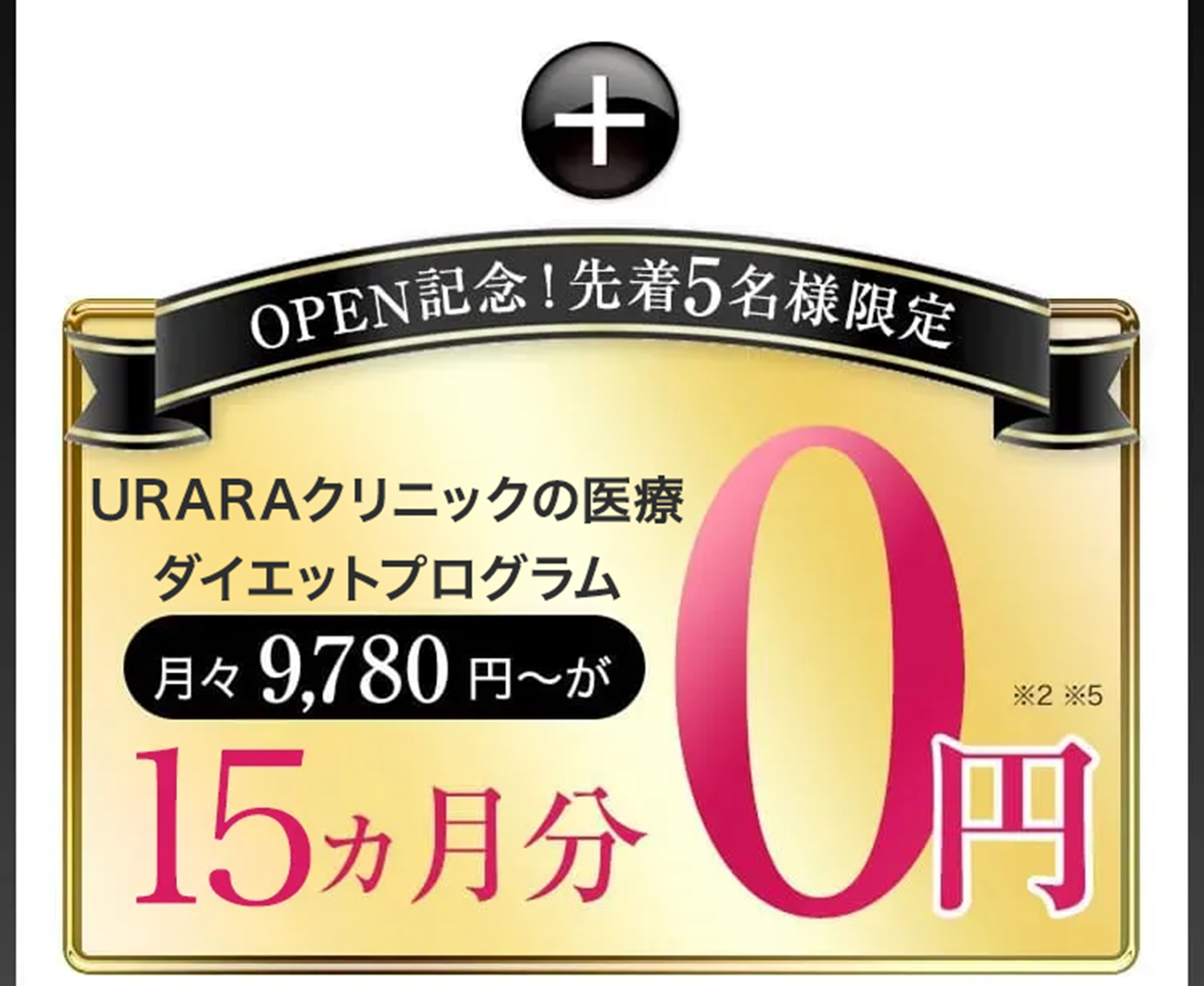 オープン記念／先着5名様限定／次世代の医療ダイエットプログラム月々9,780円〜が10ヵ月分0円