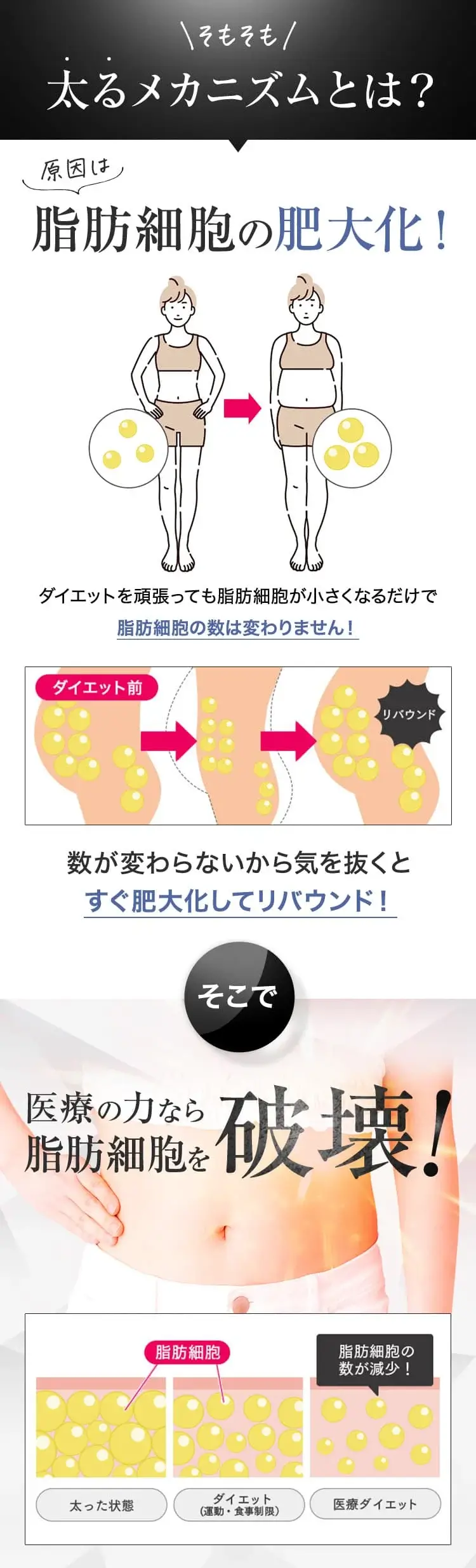 先着5名様限定／初めての医療美痩身／本気のダイエットを応援