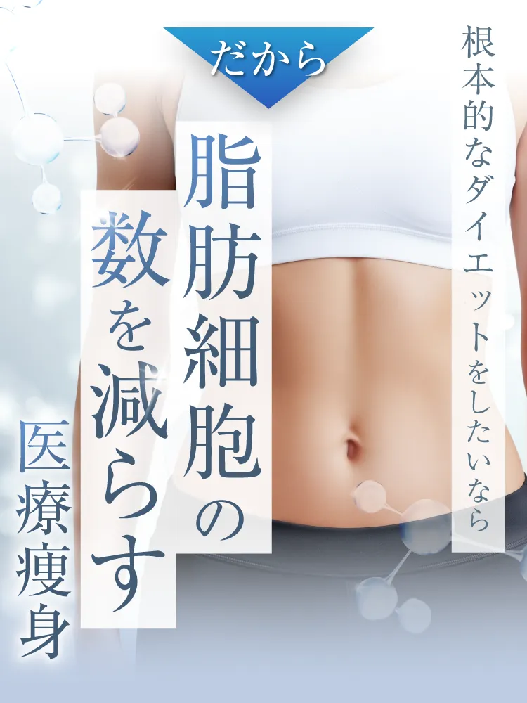 だから脂肪細胞の数を減らす