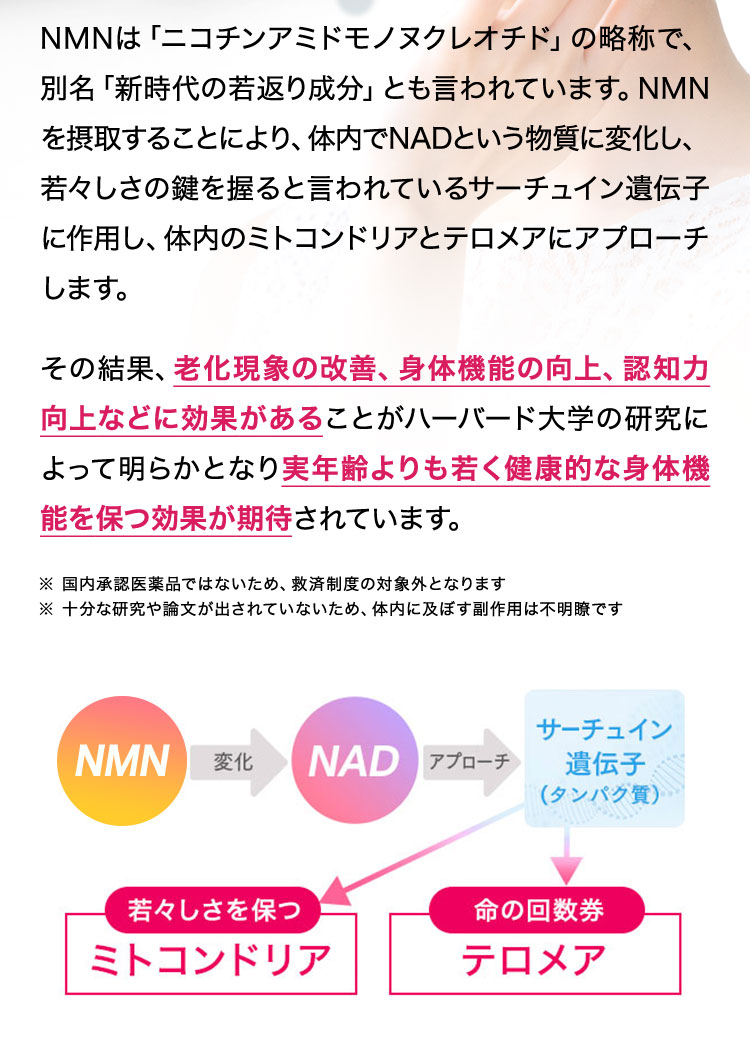 サーチュイン遺伝子（タンパク質）／若々しさを保つミトコンドリア／命の回数券テロメア、