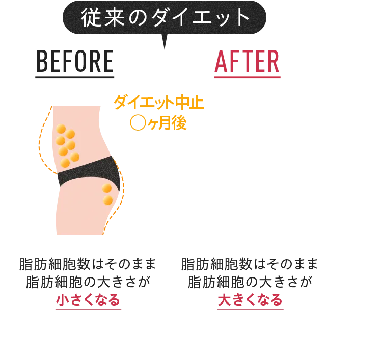 従来のダイエット