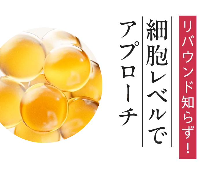 バウンド知らず!細胞レベルでアプローチ