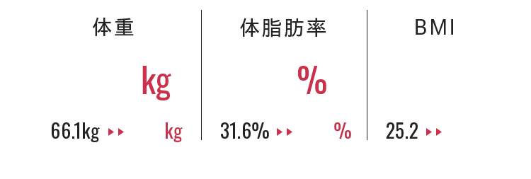 体重 体脂肪率 BMI
