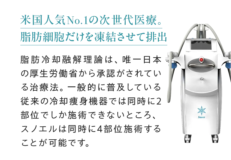 米国人気No.1の次世代医療。脂肪細胞だけを凍結させて排出脂肪冷却融解理論は、唯一日本の厚生労働省から承認がされている治療法。一般的に普及している従来の冷却痩身機器では同時に2部位でしか施術できないところ、スノエルは同時に4部位施術することが可能です。