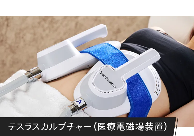 テスラスカルプチャー (医療電磁場装置)