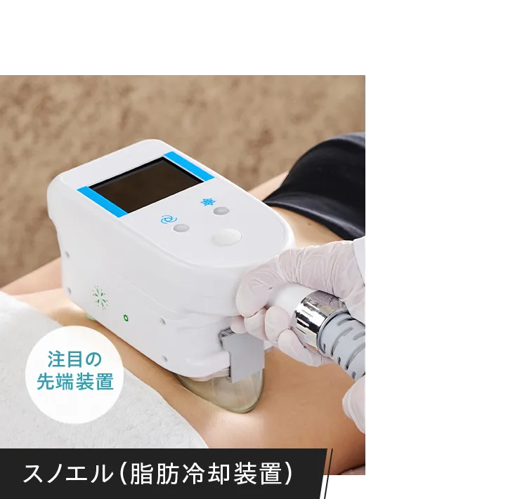スノエル(脂肪冷却装置)
