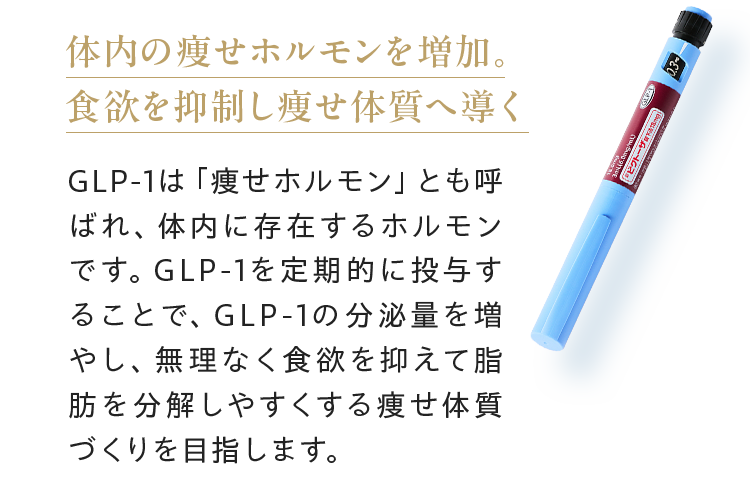 体内の痩せホルモンを増加。 食欲を抑制し痩せ体質へ導く GLP-1は「痩せホルモン」とも呼ばれ、体内に存在するホルモンです。GLP-1を定期的に投与することで、GLP-1の分泌量を増やし、無理なく食欲を抑えて脂肪を分解しやすくする痩せ体質づくりを目指します。