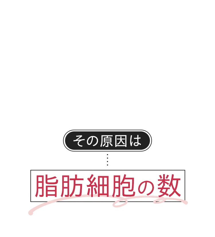 その原因は脂肪細胞の数にあります!