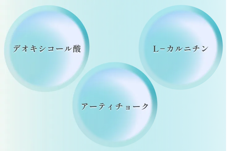 スノエルの特徴