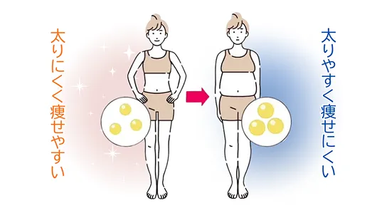 脂肪冷却のメカニズム03